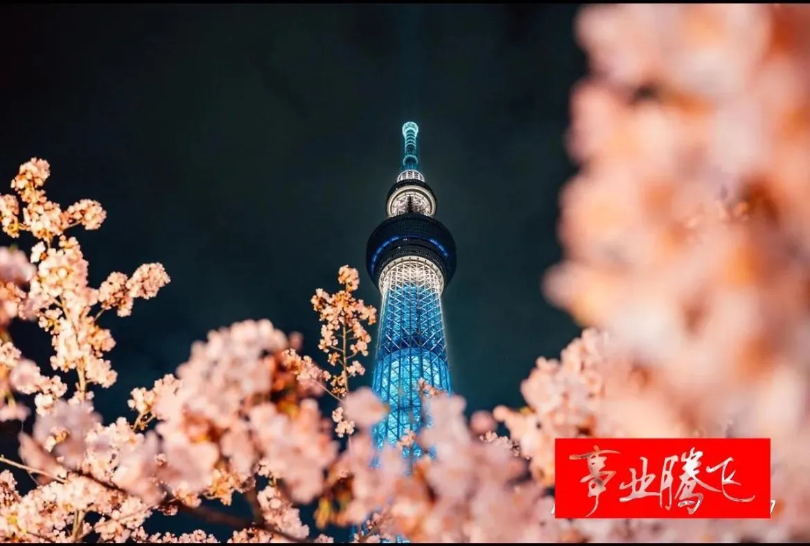 Sky House晴空塔4 Apartment Tokyo 0*,  Japan